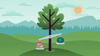 Renewable Energy Carbon Balance video image